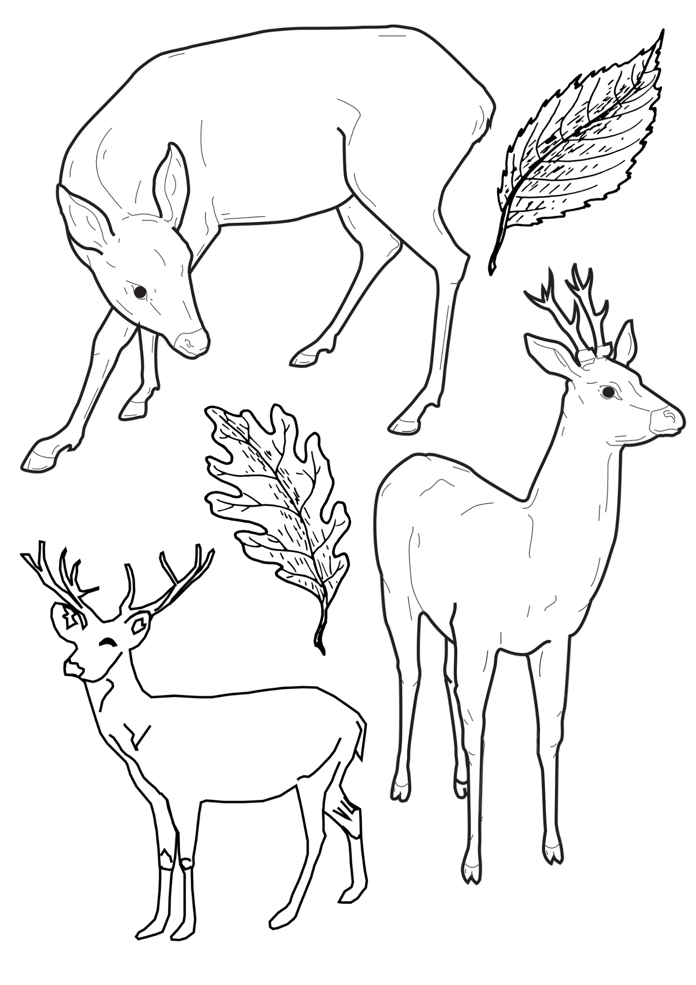 Free Printable Forest Deer Coloring Page